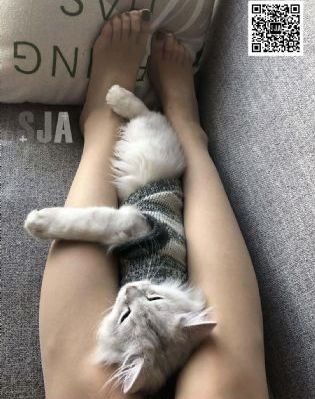 亚洲成人手机在线观看_蓝光BD在线观看