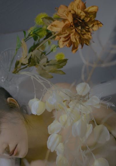 2018秋霞免费理论欧美_DVDHD高清在线观看